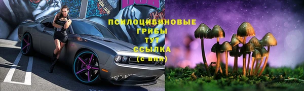 гидропоника Зеленодольск