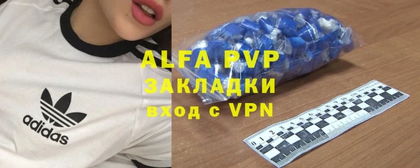 амф Галич