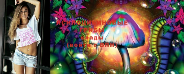 МДПВ Зерноград