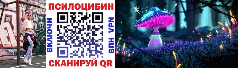 где купить наркотик Камбарка Псилоцибиновые грибы Cubensis