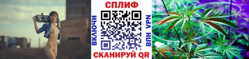 Каннабис сатива  закладка  Камбарка 